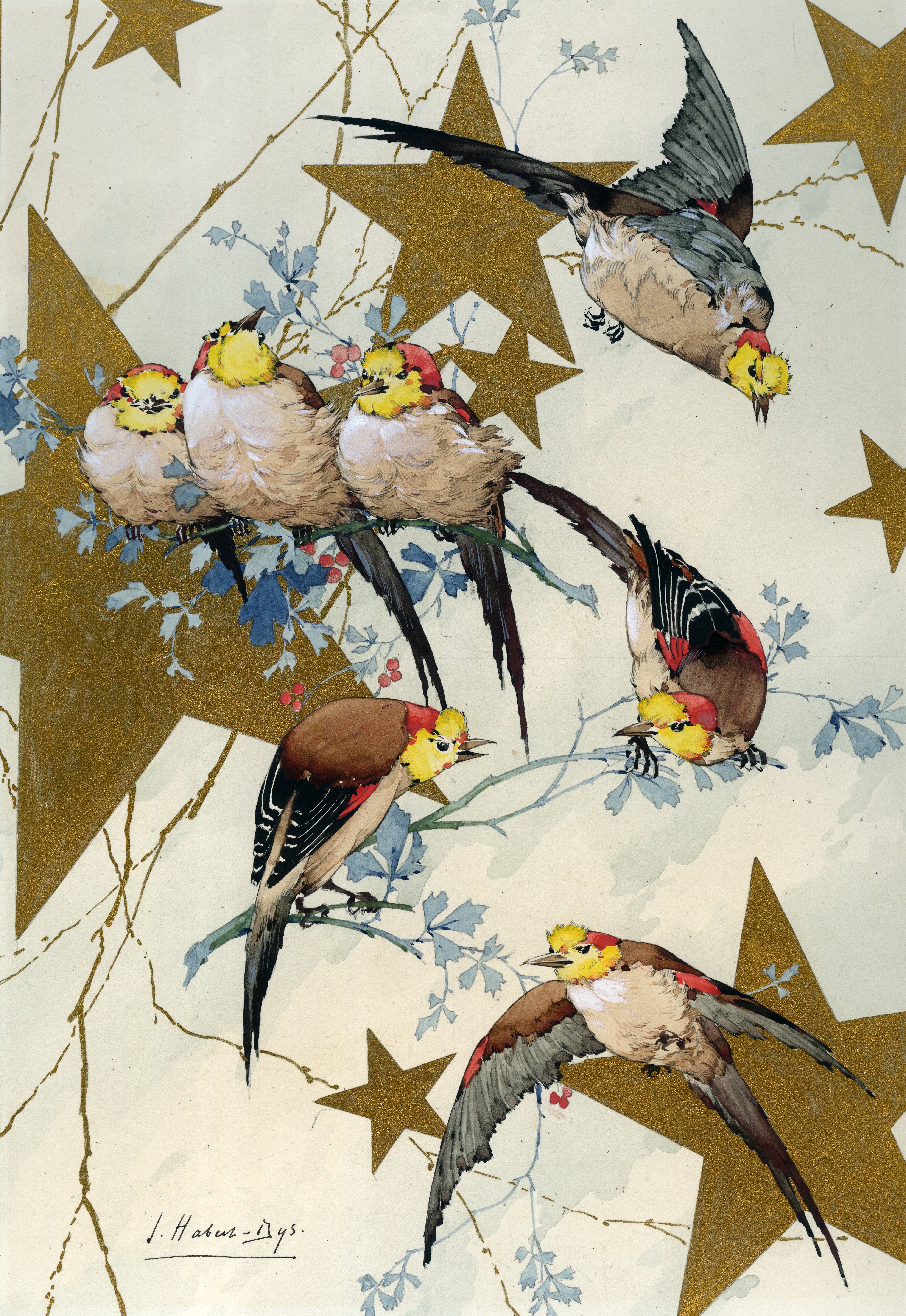 Illustration for Caprices Décoratifs: Oiseaux de la Nouvelle-Guinée [Birds of New Guinea])